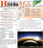 期刊